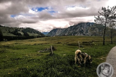 Kurzurlaub in St. Wolfgang am Wolfgangsee (15.-18.05.2024) #9